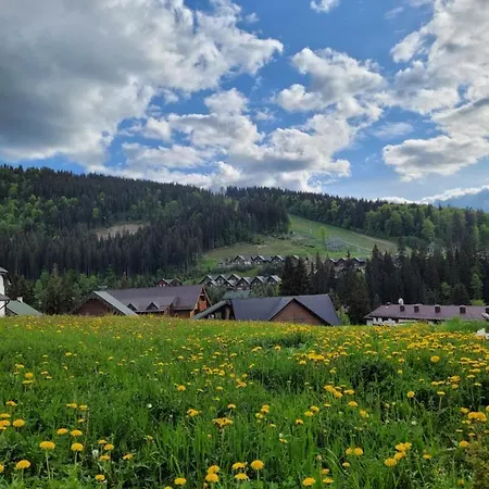 Zaporizʹka Sich Otel