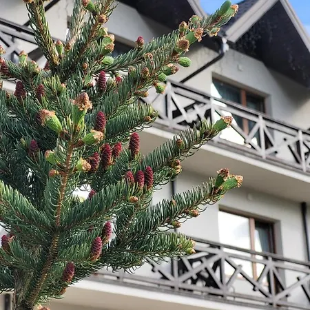 Zaporizʹka Sich Отель Буковель