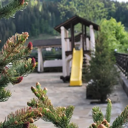 Отель Zaporizʹka Sich *