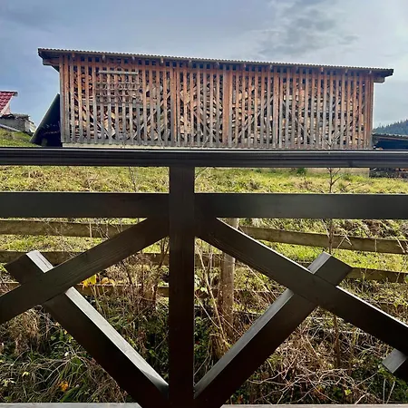 Zaporizʹka Sich Буковель